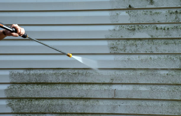 Best Deck Pressure Washing  in Waverly, MN