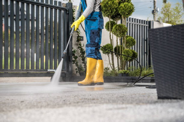 Best Fence Pressure Washing  in Waverly, MN