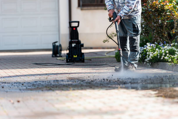 Best Exterior Home Cleaning  in Waverly, MN
