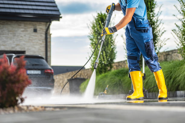 Best House Pressure Washing  in Waverly, MN