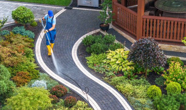 Best Pressure Washing Driveway  in Waverly, MN