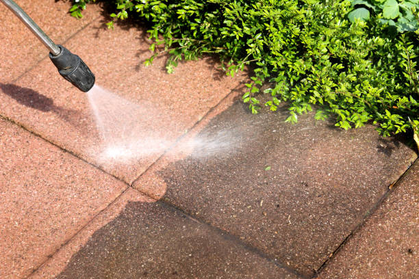 Best Commercial Building Pressure Washing  in Waverly, MN